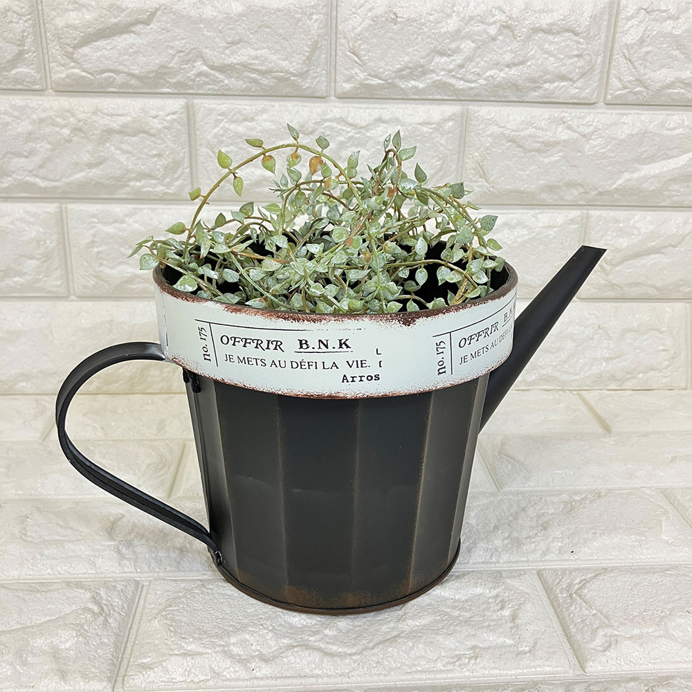 [商品入れ替えSALE][45%OFF]ジョーロ型 ブリキプランター ブラック(内径16.2cm) オフリールジョーロB(UA253）/壁掛け/ジョウロ/おしゃれ/屋外/穴あきプランター/ガーデニング/植木鉢/多肉植物/花/寄せ植え/鉢植え/ギフト/プレゼント/アンティーク風/友膳/円形のサムネイル