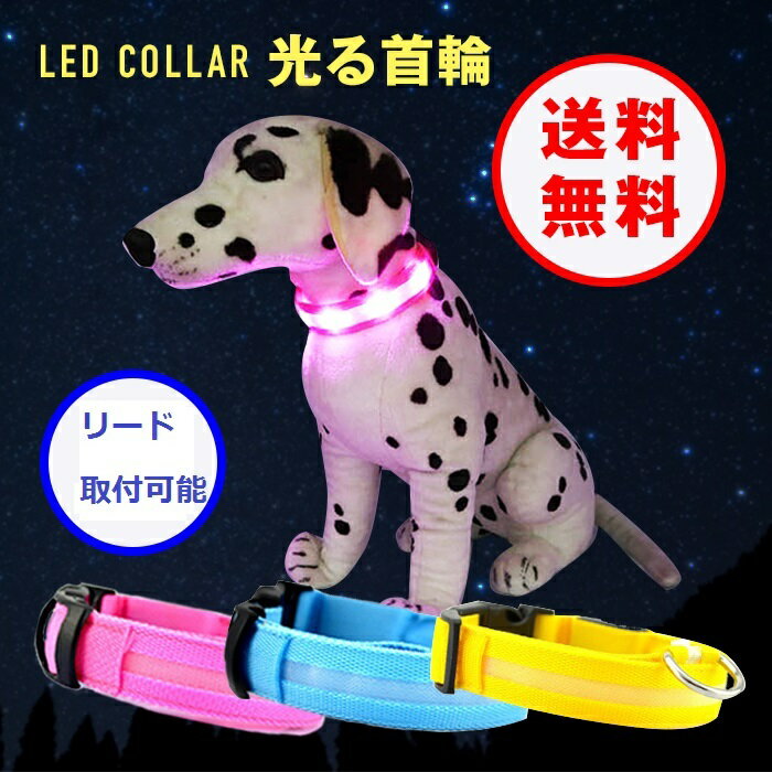 光る首輪 犬用 電池式 LED ペット用 夜の犬の散歩を安全に 大型犬 中型犬 小型犬もOK！