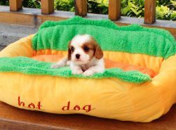 犬用 ベッド 冬 小型犬用 ホットドッグ 可愛い 写真映え プレゼントに