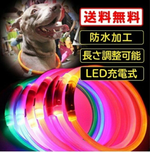 光る首輪 犬用 LED ペンダントセット 調整可能 防水 充電式 オマケ付 夜間 散歩 安全 目立つ 事故防止 小型犬 中型犬 大型犬