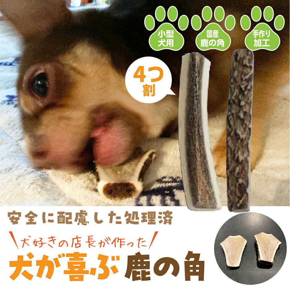 楽天市場】ルーロン鹿の角の通販