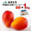 マンゴー マンゴー 沖縄 秀品 ギフト 1kg JAおきなわ 完熟マンゴー アップルマンゴー 送料無料 mango 旬の果物 完熟 フルーツ 果物 産地直送 プレゼント お中元 御中元 国産 お取り寄せ 7/8以降順次出荷