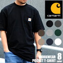 Tシャツ 半袖 メンズ carhartt カーハート レディース ワンポイント ポケット ロゴ ポケット付き k87 クルーネック Uネック アメカジ 白 ホワイト 黒 ブラック シンプル ストリート スケーター 大きいサイズ おしゃれ ブランド トップス 綿 コットン メール便OK