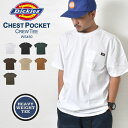 Tシャツ dickies ディッキーズ 半袖 カットソー ブランド メンズ レディース ヘビーウェイト WS450 ポケット 胸ポケット ブラック ホワイト グリーン ブラウン しっかり 分厚い 厚手 クルーネック アメカジ シンプル 大きめ US ストリート ロゴ タグ おしゃれ かっこいい