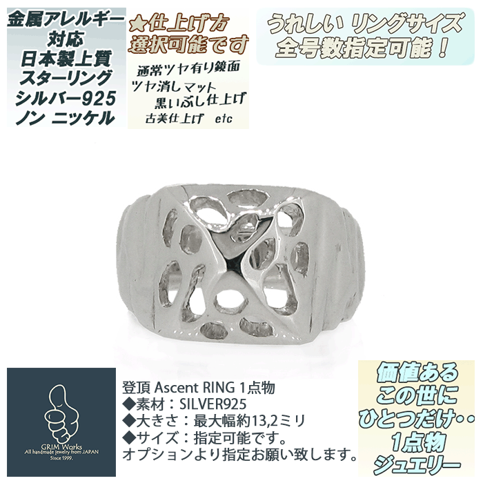 あなただけの1点物ジュエリー 登頂 Ascent RING メンズリング レディースリング 太目 重厚感 存在感 ずっしり 幅広い 指環 シルバー925 オンリーワン サイズ指定可能（直し） 希少 ハンドメイド デザイナーズ シルバーアクセサリー 作家物 ピラミッド スタッズ アンティーク