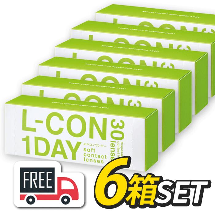 ̵ۥ륳ǡ 6Ȣåȡ1Ȣ30˥󥷥 l-con lcon 1day 󥿥ȥ 1ȤΤ