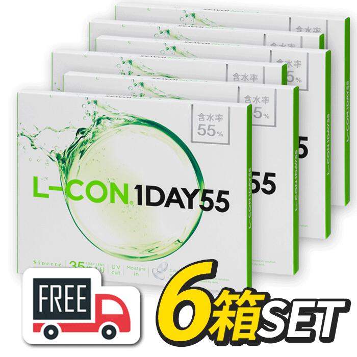 エルコンワンデー55（1箱35枚入）6箱セット シンシア l-con lcon 1day コンタクトレンズ 1日使い捨て