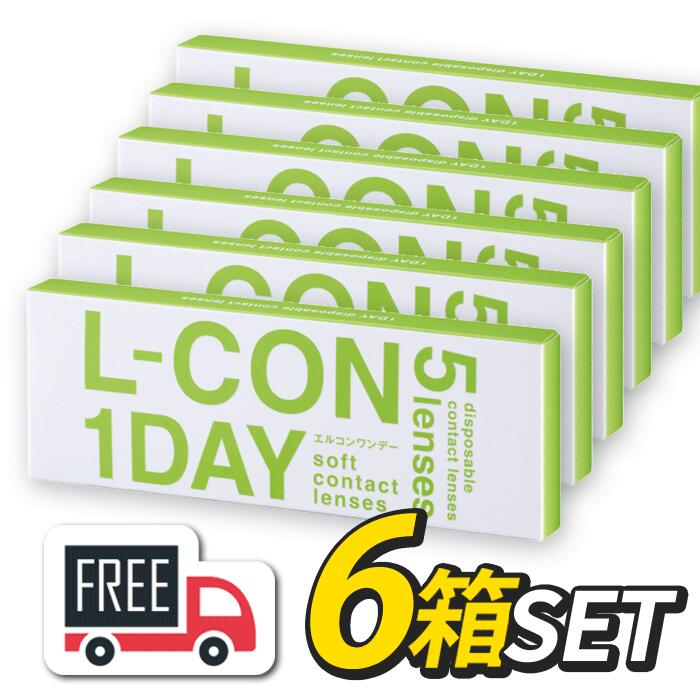 【送料無料・ポスト便】エルコンワンデー 6箱セット（1箱5枚入）シンシア l-con lcon 1day コンタクトレンズ 1日使い捨て