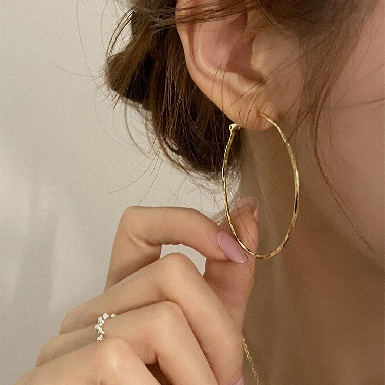 Amethyst - ピアス アクセサリー レディース シルバーポスト メタル サークル 韓国 ファッション 雑貨 かわいい おしゃれ 北欧 送料無料 [K] (T)