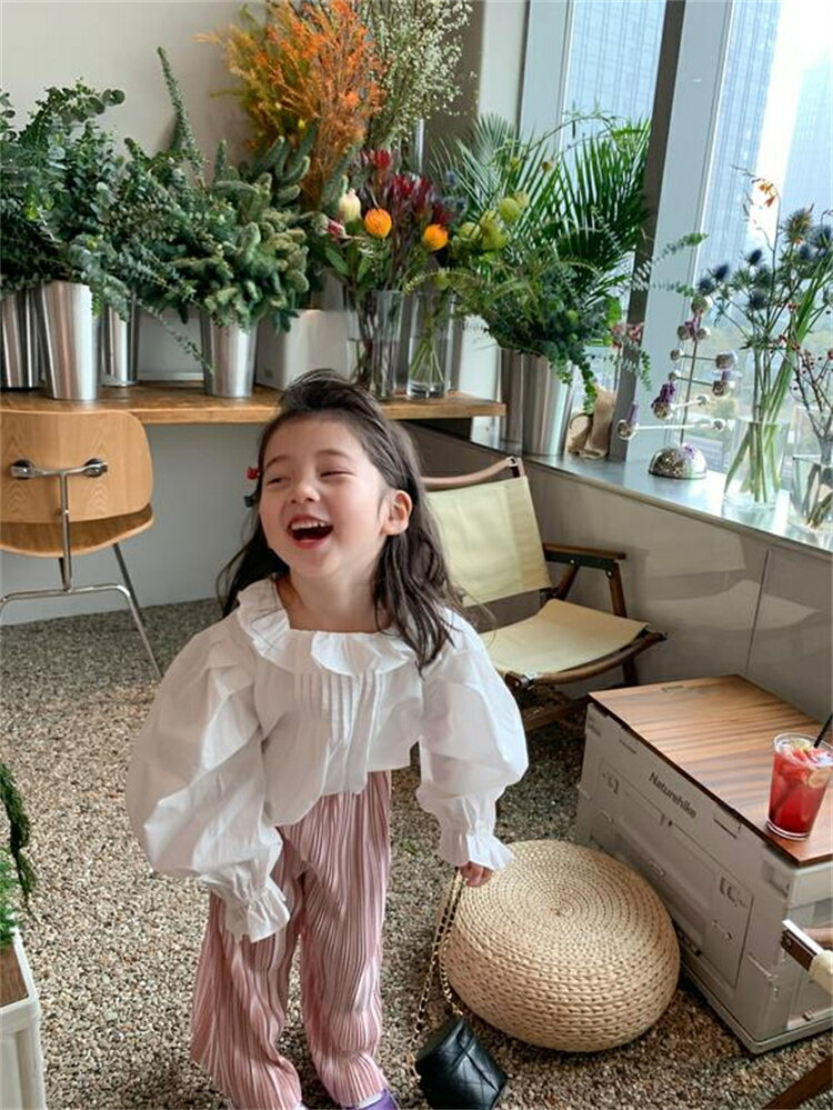 פä̤Ǵ򤷤Ǥ ץ꡼ 󥰥ѥ ȥ 磻ɥѥ Ҷ[K](T)