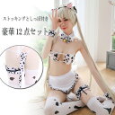 豪華点入り 牛セット セクシーランジェリー(T)