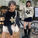 気質若く見え韓国風ニット・セーター (T)