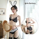アダルト系 透け透け セクシーランジェリー バニーガール ガーターベルト付き 透けショーツ ブラ ストッキング カチューシャ セット 下着 エロい エロ下着 エ...