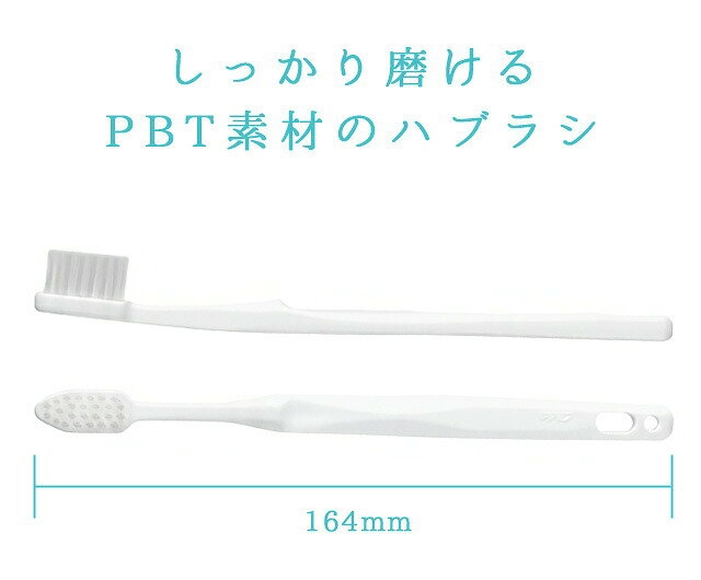 ホテルアメニティ 使い捨て 個包装 歯磨きセット 携帯歯ブラシ 旅行 防災 アメニテ...