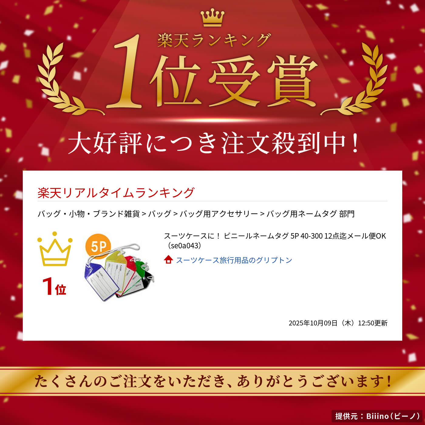 スーツケースに！ ビニールネームタグ 5P 40-300 12点迄メール便OK（se0a043）