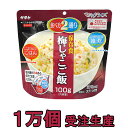 非常食 セット 最大 5年保存 梅じゃこご飯 100g×10000個 保存食 サタケ アルファ米 マジックライス 防災 グッズ 備蓄 登山 キャンプ 旅行 自宅療養 在宅 ホテル 療養 1fmr31012ze-10000(sa0a088)