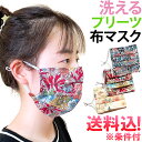 【お買物マラソン中5%offクーポン対象】在庫限り!【メール便送料無料】GPT 布製 マスク プリーツタイプ 柄入り 大人用 個包装 綿 かわいい おしゃれ プ...