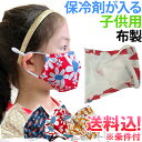 【お買物マラソン中5%offクーポン対象】在庫限り!【メール便送料無料】子供用 GPT 布製 マスク 立体タイプ 柄入り 個包装 綿 かわいい おしゃれ 立体マ...