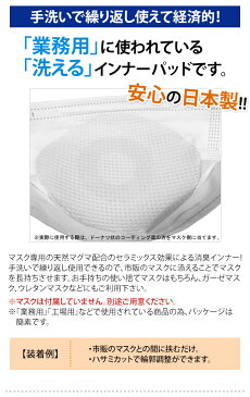 【取り寄せ】洗える 消臭 マスクインナー 日本製 5枚入り 洗濯可 繰り返し使用 交換シート マスクフィルター マスク用インナー衛生パッド NT-SNI2 8点迄メール便OK(ni1a021)｢cp｣｢tc8｣