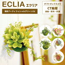 【クーポン対象】フェイクグリーン 吊り下げ 消臭 抗菌 Sサイズ 多肉 水不要 観葉植物 フェイク アーティフィシャル グリーン ボール ミニ 卓上 エクリア ...