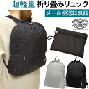【メール便送料無料】残り1点限り! ソロツーリスト 折りたたみ リュック 手の平サイズ ナイロン デイパック バッグ 折り畳み ポケッタブル サブバッグ sol...