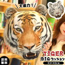 【送料無料】GPT クッション 抱き枕 大きい 動物 虎 ホワイトタイガー リアル プリント ダイカット 椅子 ソファー うつぶせ枕 まくら インテリア おもし...