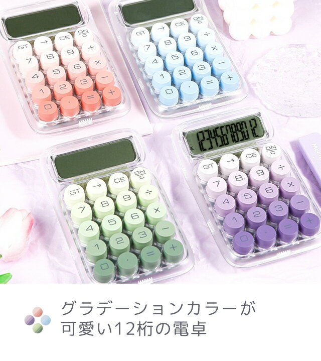 カシオ CASIO 本格実務電卓 12桁 DS-12WT-N 1台