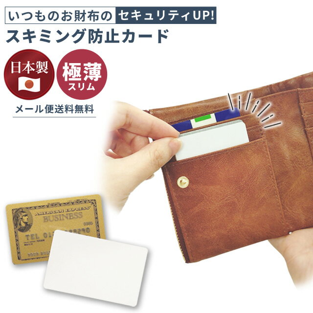 【メール便送料無料】GPT スキミン