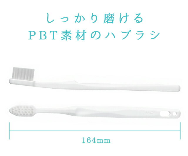 使い捨て ハブラシ 歯磨き粉付き 【 ブロッサ...の紹介画像2