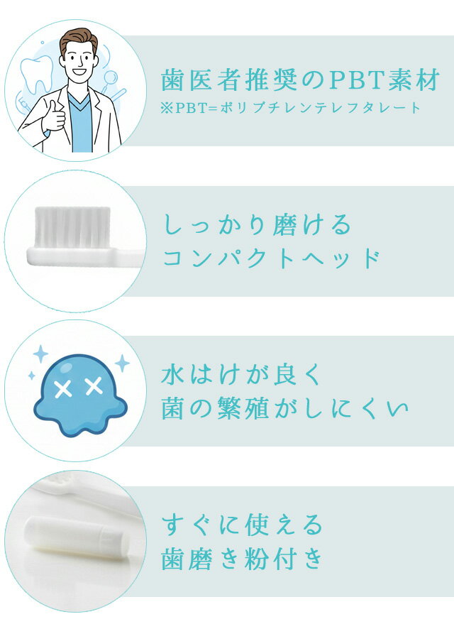 �Ȥ��Τ� �ϥ֥饷 ���᤭ʴ�դ� �� �֥��å��ॷ�꡼�� �� ��� 1��ñ�� ���֥饷���å� �ۥƥ� ����˥ƥ� ������ �� ι���� �ȥ�٥� PBT-05 30�����᡼����OK(ma0a133)