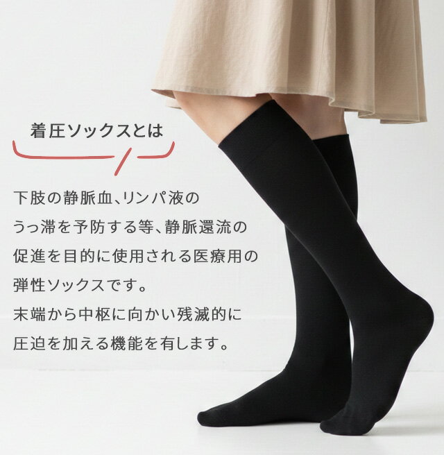 ��Ŭ�尵���å��� �֥�å� ι���� ���Ե� ���� �य�ߥ��� �य���ɻ� ��ǥ����� ��� �ϥ����å��� ������ ������ 521075 521076 2�����᡼����OK(je1a293)