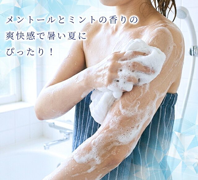 【セット】冷感 ボディソープ 100個単位 パウチ 12ml フィールソークール ホテル アメニティ 旅行 トラベル ひんやり ミント メントール 11853550-100(ma0a158) griptone-10024869 スーツケース旅行用品のグリプトン サンプル画像2