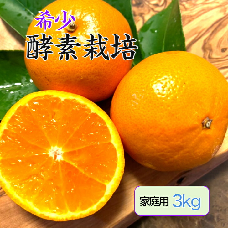 【酵素栽培】石地 みかん 家庭用 3kg【国産】【産地直送】 果物 フルーツ 特別栽培 広島 瀬戸田 柑橘 訳あり 甘い 濃厚 完熟 減農薬 防腐剤不使用 ノーワックス AB級品混合のサムネイル