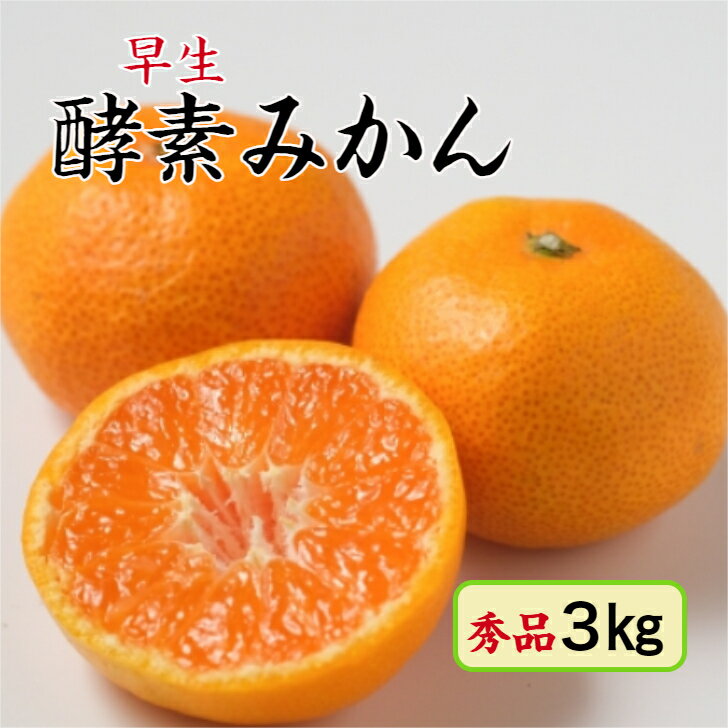 【11月予約品】【酵素栽培】早生 みかん ギフト3kg【国産】【産地直送】広島 瀬戸田 フルーツ 柑橘 特別栽培 美品 防腐剤不使用 ノーワックス お歳暮 送り物 熨斗