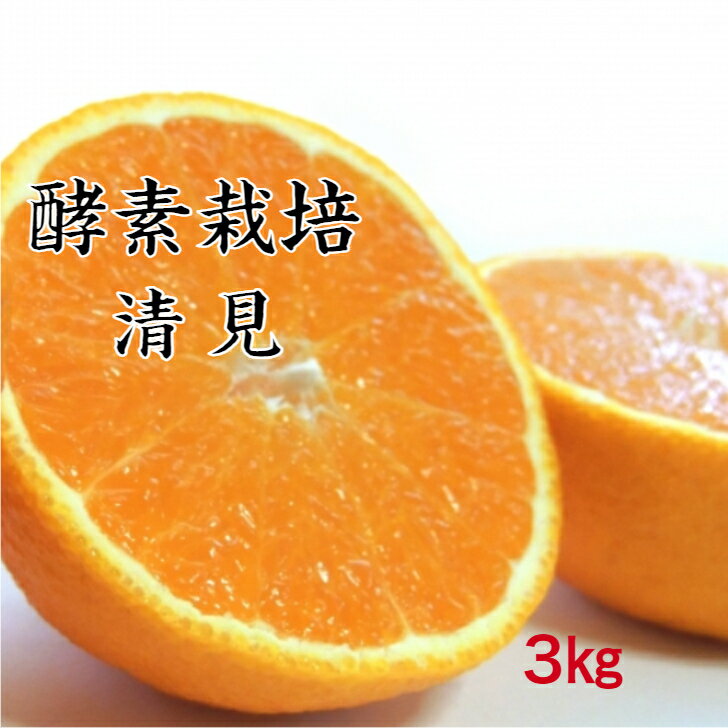 清美オレンジ3kg果物完熟みかんフ...