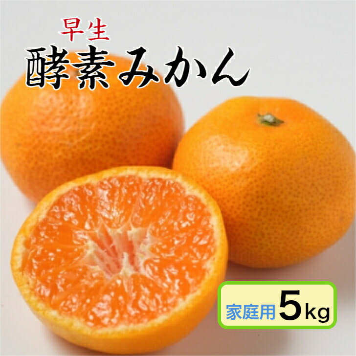 【11月上旬予約品】【酵素栽培】早生 みかん 家庭用 5kg【国産】【産地直送】広島 瀬戸田 フルーツ 柑橘 グリグリーン農園 特別栽培 訳あり 防腐剤不使用 ノーワックス AB級品混合のサムネイル