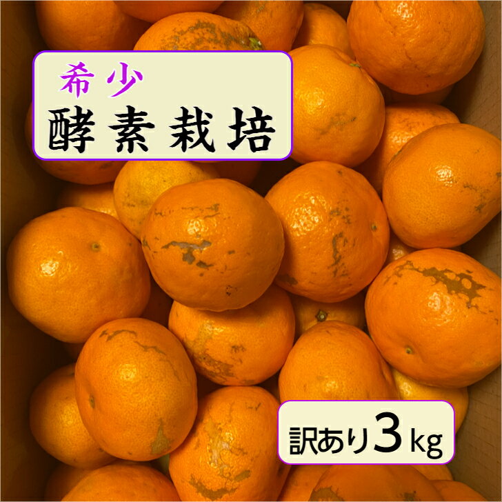 【12月予約品】【酵素栽培】 石地 みかん 傷 訳あり 3kg 【国産】 【産地直送】 果物 フルーツ 特別栽培 広島 瀬戸田 柑橘 訳あり 甘い 濃厚 完熟 ...