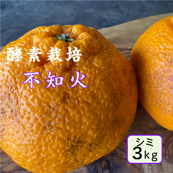 【2月上旬予約商品】【酵素栽培】酵素 不知火3kg【産地直送】デコポン 同品種 特別栽培 完熟 果物 フルーツ 広島 瀬戸田 みかん グリグリーン農園 訳あり ...