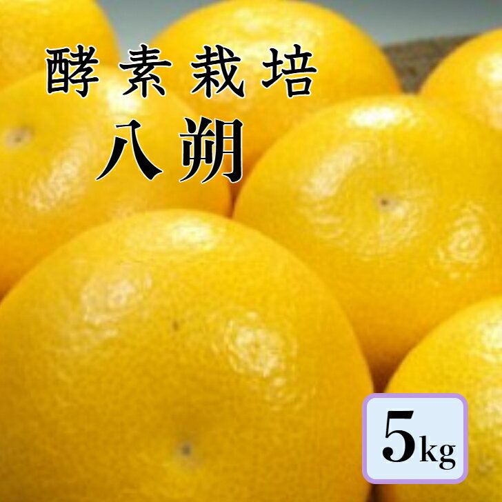 【1月下旬予約商品】【酵素栽培】八朔5kg【国産】【産地直送】特別栽培 完熟 果物 フルーツ 広島 瀬戸..
