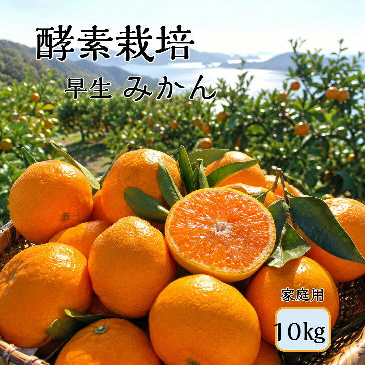 楽天市場】みかん 10kg 送料無料 訳あり（自然派志向特別栽培