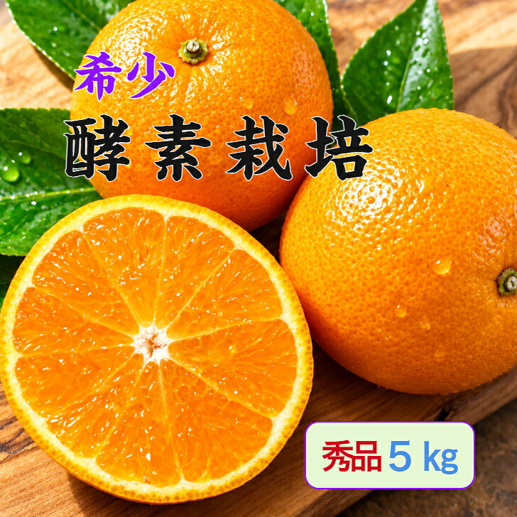 【12月予約品】【酵素栽培】石地 みかん ギフト5kg【国産】【産地直送】果物 フルーツ 特別栽培 広島 瀬戸田 柑橘 甘い 濃厚 完熟 減農薬 防腐剤不使用 ノーワックス お歳暮 送り物 熨斗 grisgris-10000017 グリグリーン農園 パッケージ画像