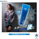 ファイテン phiten EXTREME クールジェル 1021EY185000