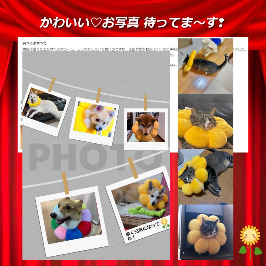 エリザベスカラー 猫 犬 ソフト ペット用品 ポンデリング カラフル しゃれ かわい...
