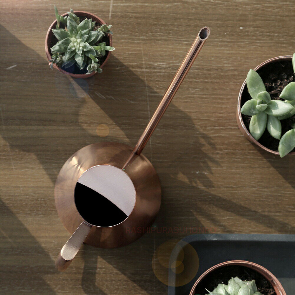 ��P2�ܡ�5%OFF�ۤ��礦�� ���祦�� ǡ��Ϫ �夵�� ������ ���ƥ�쥹 ��ʪ ������ ������� �ߺ� �֥��� �������