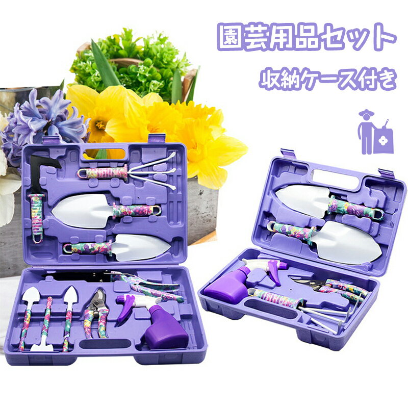 ں2000OFF۱ 10å 5å ǥ˥󥰥ġ ǥ˥󥰥å  ϥ  