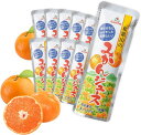 ゴールドパック 凍らせておいしい フルーツジュース 国産果汁 和歌山のみかん 10本 お中元 暑中見舞い みかん ギフト アソート