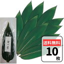 天然 笹の葉 10枚 山眞産業 料理 寿司 飾り用 料理用 国産 業務用