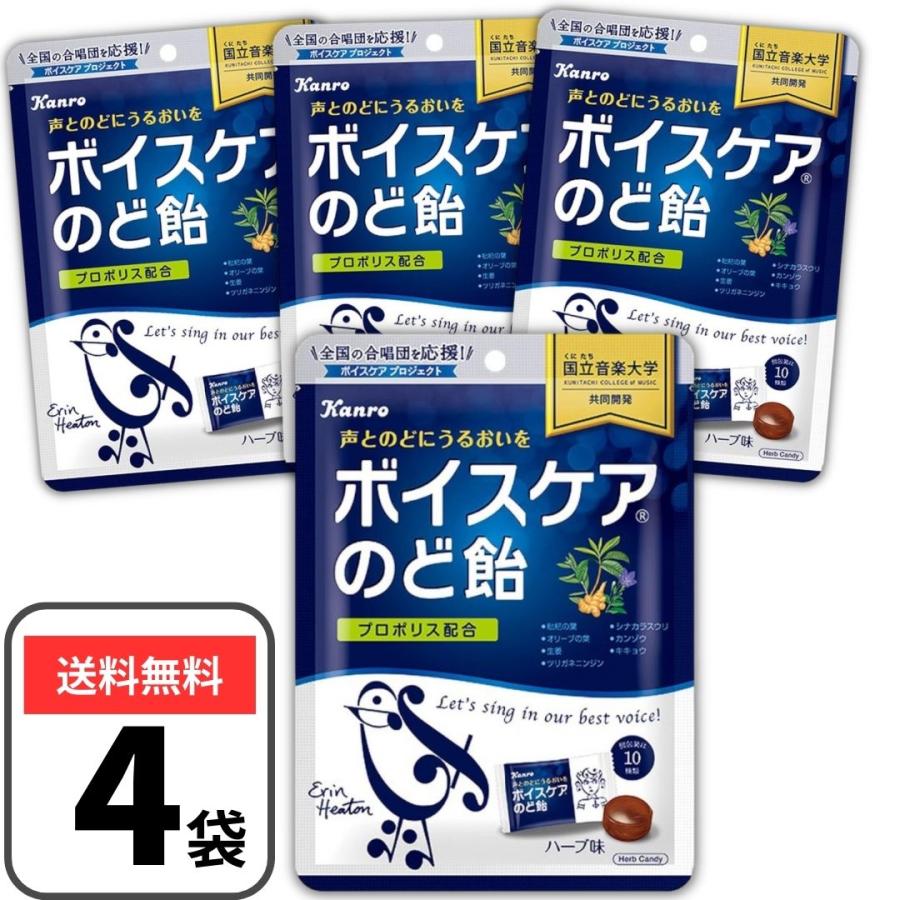 ボイスケアのど飴 70g×4袋 喉飴 カン