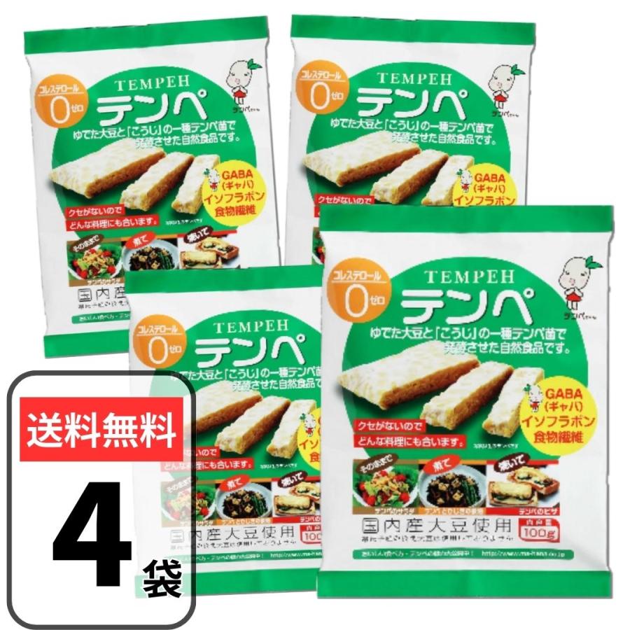 マルシン テンペ 100g×4袋 大豆発酵食品 発酵食品 インドネシア伝統料理 テンペ菌 健康食品 ダイエット..