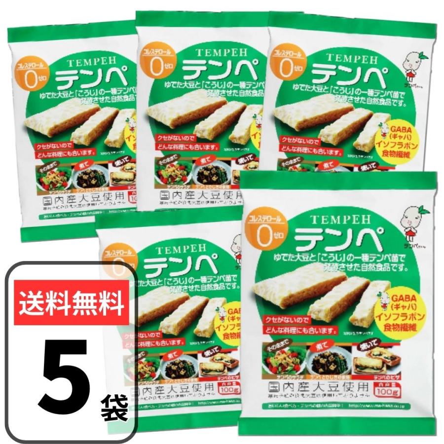 マルシン テンペ 100g×5袋 大豆発酵食品 発酵食品 インドネシア伝統料理 テンペ菌 健康食品 ダイエット..